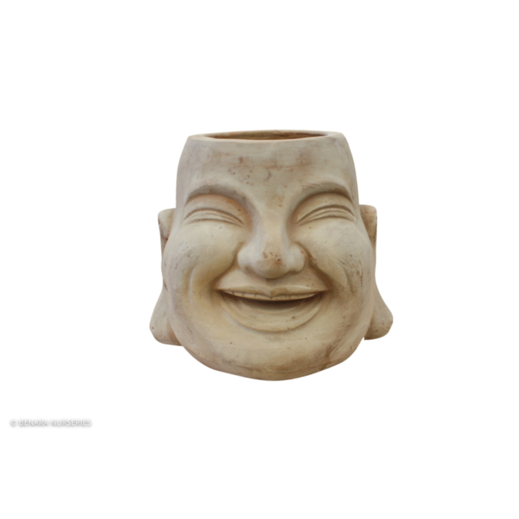Terracotta　pot,　Laughing　Buddha　Head　Mterra