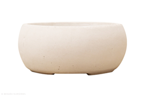 Concrete Bowl Planter, White