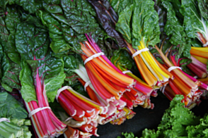 Silverbeet Rainbow Chard Tray