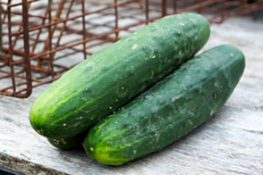 Cucumber Lebanese Tray