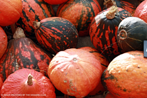 Pumpkin Lakota Diggers Tray