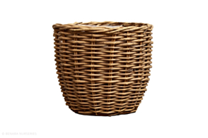 Basket Egg Decor, Natural