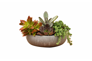 L/W Bowl Planter BAULO, Grey