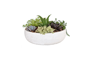 L/W Bowl Planter BAULO, White