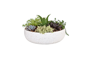 L/W Bowl Planter BAULO, White Terrazzo