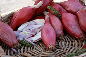 Onion Long Red Florence Diggers Tray