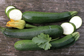 Zucchini Black Beauty Diggers