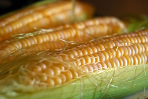 Corn Sweet Tray